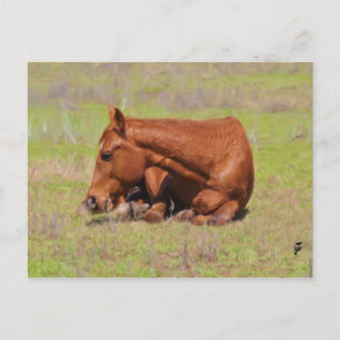 Carte Postale Repose dans le soleil