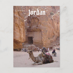 Carte Postale Repose de chameaux à Petra Jordan