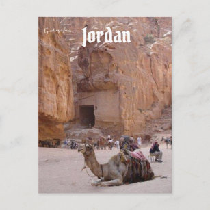 Carte Postale Repose de chameaux à Petra Jordan