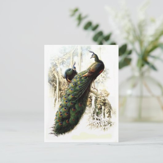 Carte Postale Repose des Peacocks (Debout devant)