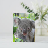 Carte Postale Repose, Happy Koala (Debout devant)