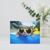 Carte Postale Reposez-vous dans la piscine sur le matelas gonfla (Debout devant)