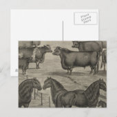 Carte Postale Représentants du Kansas (Devant / Derrière)