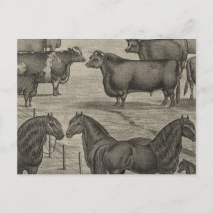Carte Postale Représentants du Kansas