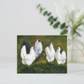 Carte postale Reproduction d'art "poules et coq" (Debout devant)