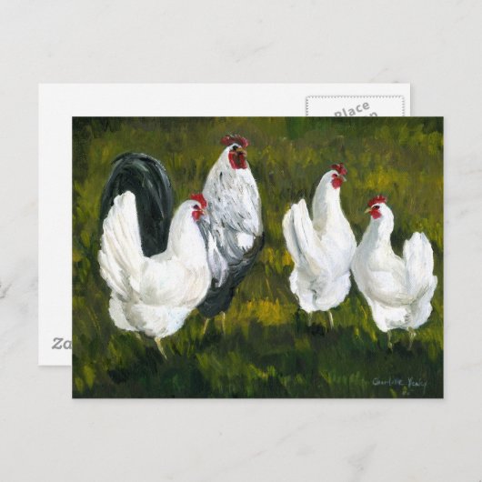 Carte postale Reproduction d'art "poules et coq" (Devant / Derrière)