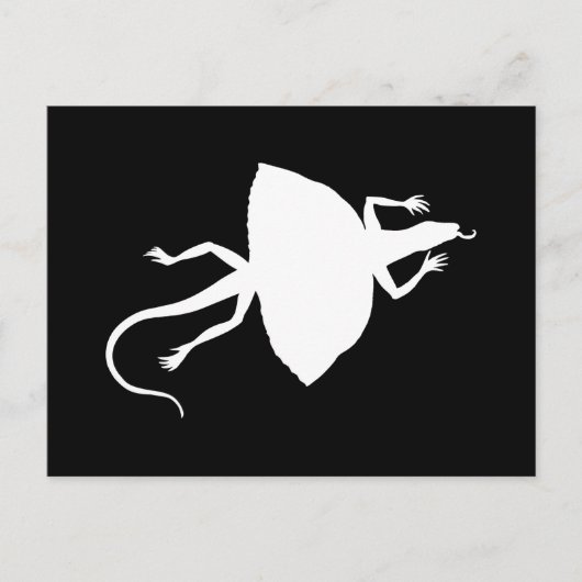 Carte Postale Reptile blanc (Devant)