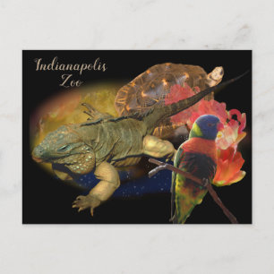 Carte Postale Reptiles et oiseaux du zoo d'Indianapolis