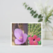 Carte Postale République dominicaine (Debout devant)