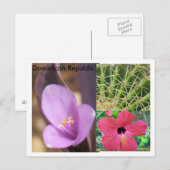 Carte Postale République dominicaine (Devant / Derrière)