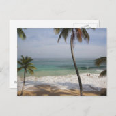 Carte Postale République Dominicaine, Côte Nord, Abreu, Playa 4 (Devant / Derrière)