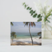 Carte Postale République Dominicaine, Côte Nord, Abreu, Playa 4 (Debout devant)