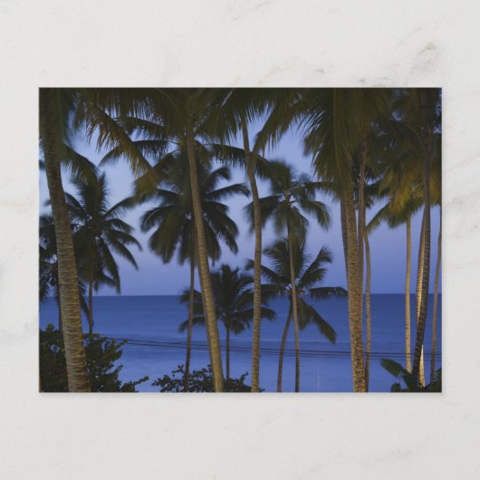 Carte Postale République Dominicaine, Péninsule de Samana, Las (Devant)