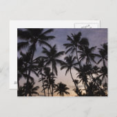 Carte Postale République Dominicaine, péninsule de Samana, Las 2 (Devant / Derrière)