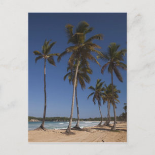 Carte Postale République dominicaine, région de Punta Cana, El