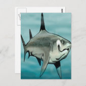 Carte Postale Requin (Devant / Derrière)