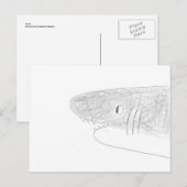 Carte Postale Requin (Devant / Derrière)