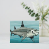 Carte Postale Requin (Debout devant)