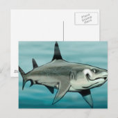 Carte Postale Requin (Devant / Derrière)
