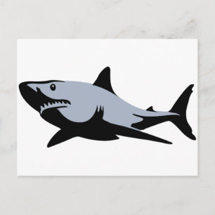 Carte Postale Requin