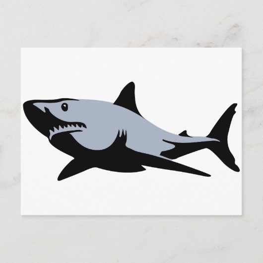 Carte Postale Requin (Devant)