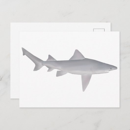 Carte Postale Requin à bec (Devant / Derrière)