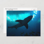 Carte Postale Requin à l'aquarium Georgia (Devant / Derrière)