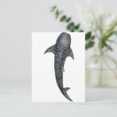 Carte Postale Requin baleine (Debout devant)