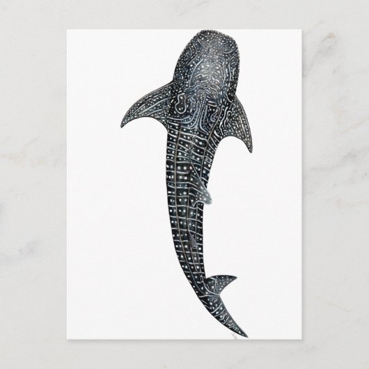 Carte Postale Requin baleine (Devant)
