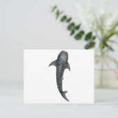 Carte Postale Requin baleine (Debout devant)