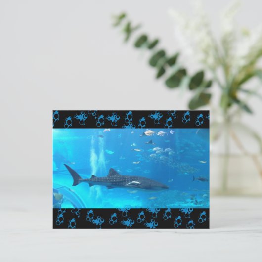 Carte Postale requin baleine (Debout devant)
