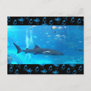 Carte Postale requin baleine