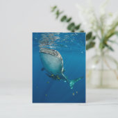 Carte Postale Requin Baleine et Poisson (Debout devant)