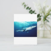 Carte Postale Requin bleu (Debout devant)