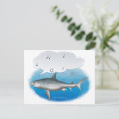 Carte Postale requin chanteur (Debout devant)
