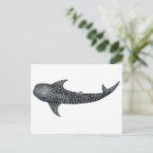 Carte Postale Requin de baleine (Debout devant)
