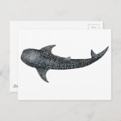 Carte Postale Requin de baleine (Devant / Derrière)