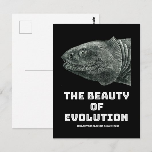 Carte Postale Requin de beauté de l'évolution (Devant / Derrière)