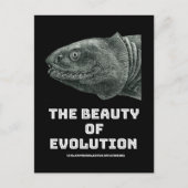 Carte Postale Requin de beauté de l'évolution (Devant)