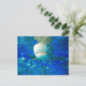 Carte Postale Requin Lemon « Disis Fromage » (Debout devant)