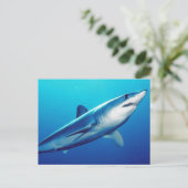Carte Postale Requin Mako Rivard (Debout devant)