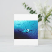 Carte Postale requin marteau (Debout devant)