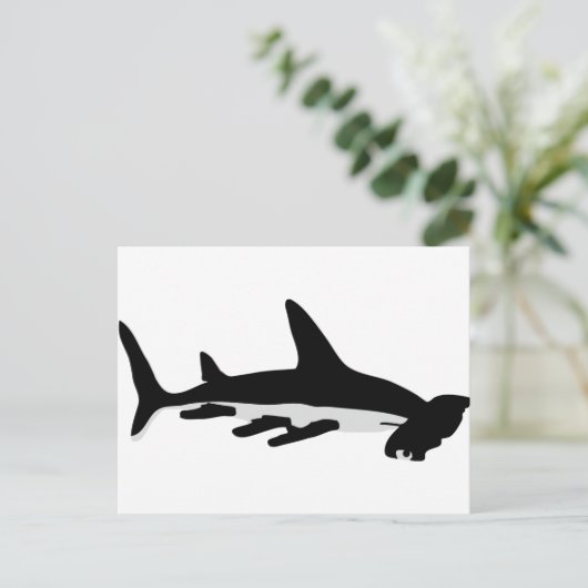 Carte Postale requin marteau (Debout devant)