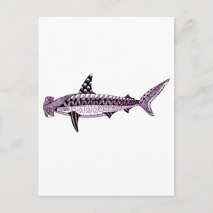 Carte Postale requin marteau