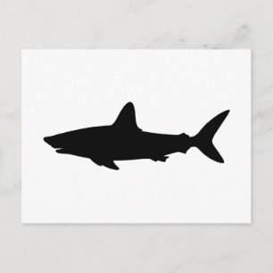 Carte Postale Requin qui Nage