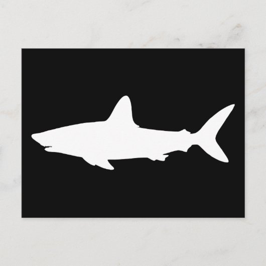 Carte Postale Requin qui Nage (Devant)
