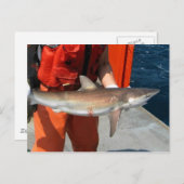 Carte Postale Requin roux (Devant / Derrière)