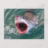 Carte Postale Requin sortant de l'océan (Devant)