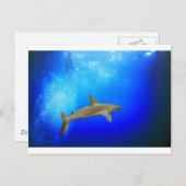 Carte Postale Requin sous-marin bleu profond océan (Devant / Derrière)