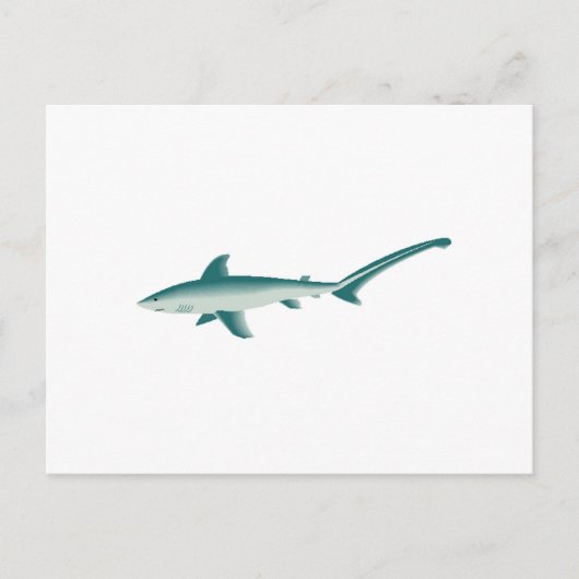 Carte Postale Requin thresher (Devant)